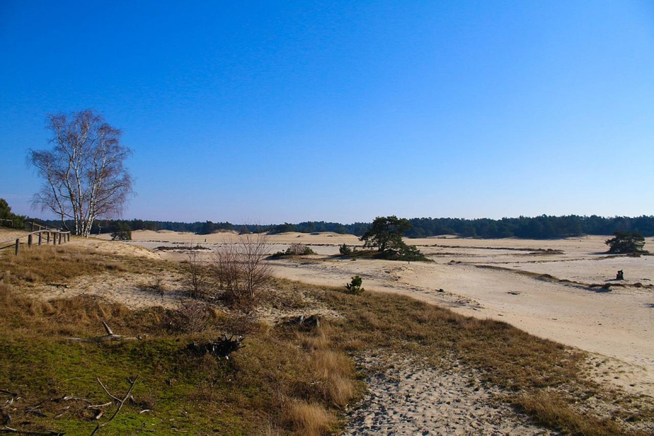 Het Wellnest